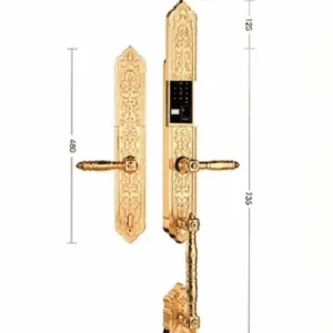 Khóa thông minh vân tay tân cổ điển Model ESL868D4R10